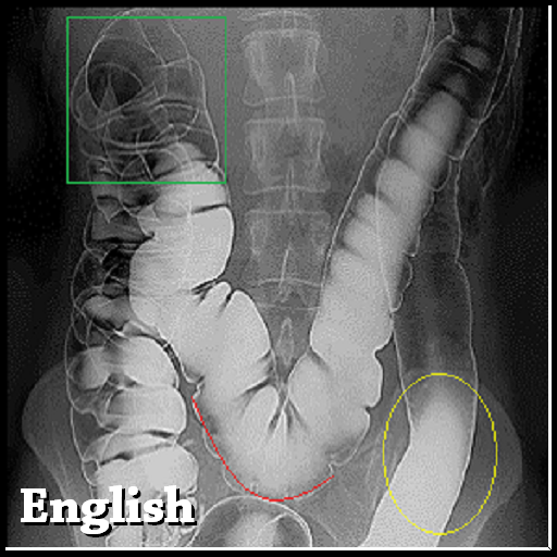 Digestive System exam question icon