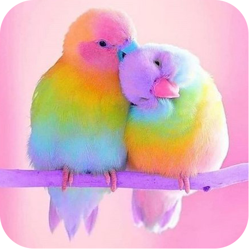 Bird Wallpapers HD Special icon