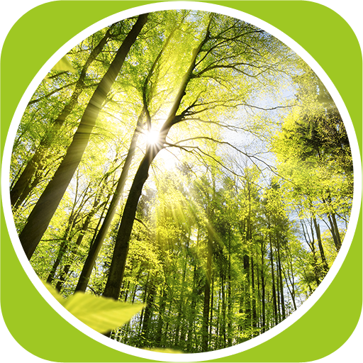 Musica rilassante icon