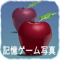 記憶ゲーム写真