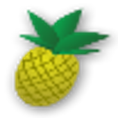 Pineapple Farm icon