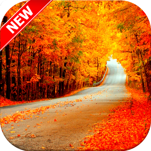 Road Wallpaper HD - Road Trip wallpapers icon