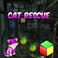 Cat Rescue Game