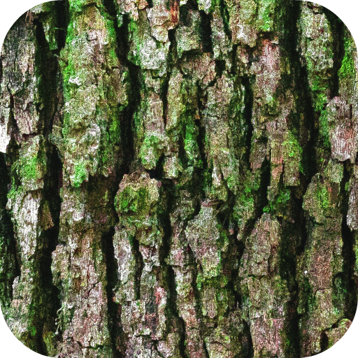 Bark Wallpaper icon