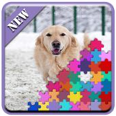 Golden Retriever Dogs icon