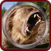 Jungle Animal Hunting icon