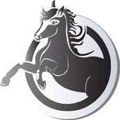 Cricket Exchange Pro icon