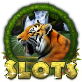 Amazon Slots icon