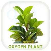 Oxygen Plant on 9Apps