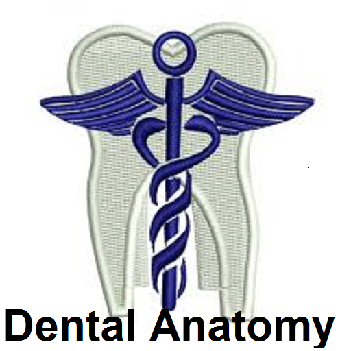 Dental Anatomy Ultimate icon
