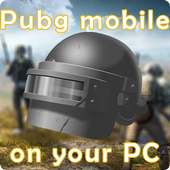 Guide to download Pubg mobile on PC on 9Apps