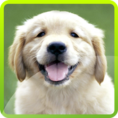 Dogs Jigsaw Puzzles icon
