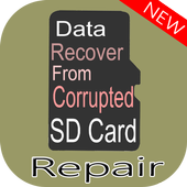 ikon Repair Data From Corrupted SD Card Guide