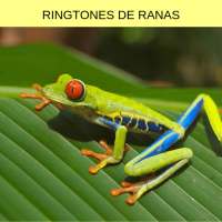 ringtones de ranas, tonos y sonidos de ranas