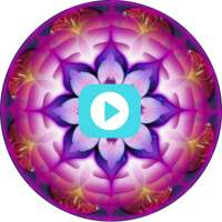 Ho'oponopono en español meditaciones charlas y más