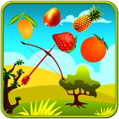 Fruit Shooting icon