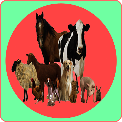 Animal anatomy physiology icon