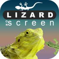 Funny Lizard On Phone Screen: Cute Joke