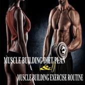 Muscle Building Diet Plan &amp; Excercise icon