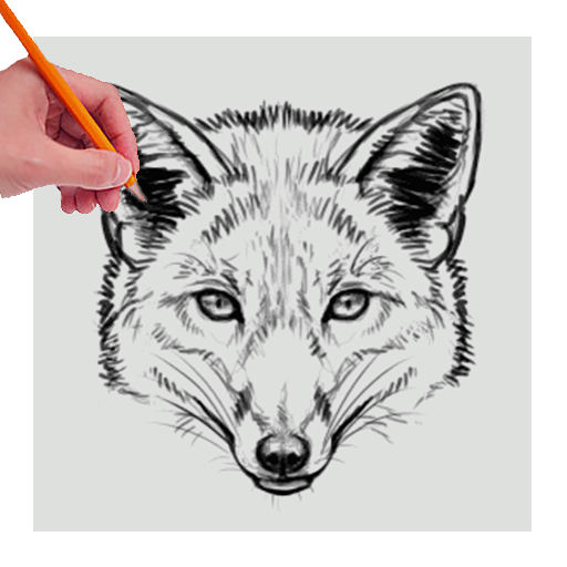 Learn to Draw Animals  by step icon