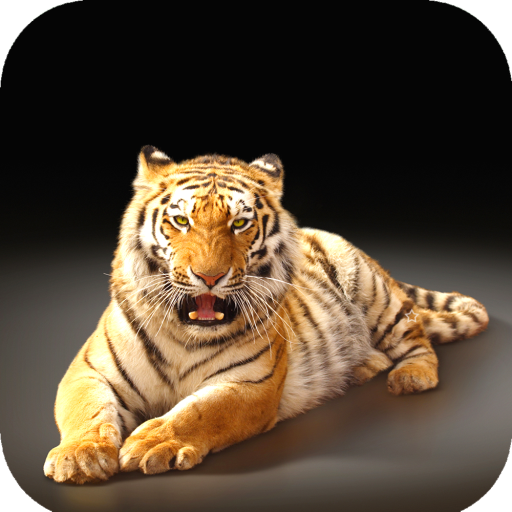 Tiger Wallpaper HD icon
