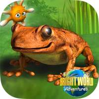 Amazing Amphibians on 9Apps