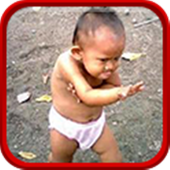 Top Funny Vidoes HD icon