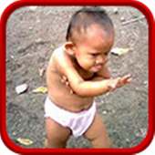 Top Funny Vidoes HD on 9Apps