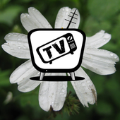 TM101vn - Cùng Xem Tiện ích icon