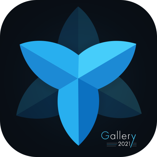 Gallery 2021 icon
