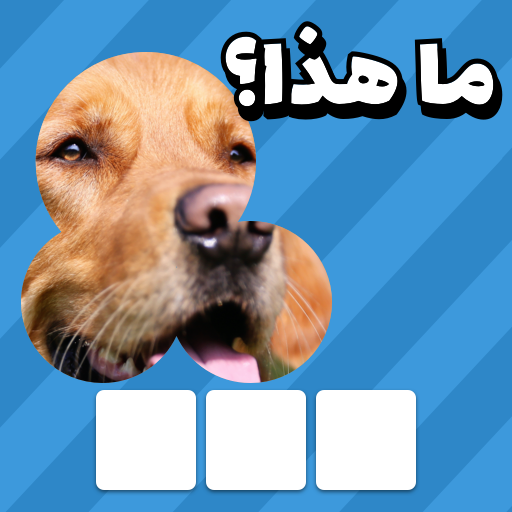 اختبار زوم: تخمين الكلمة أيقونة