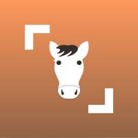 Horse Scanner on 9Apps