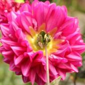 Arte en-Cauce 2019 - Galería Virtual icon