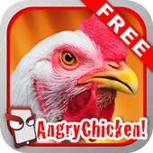 Angry Chicken Free! icon