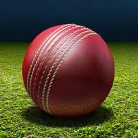 Bat for Me - All Sports