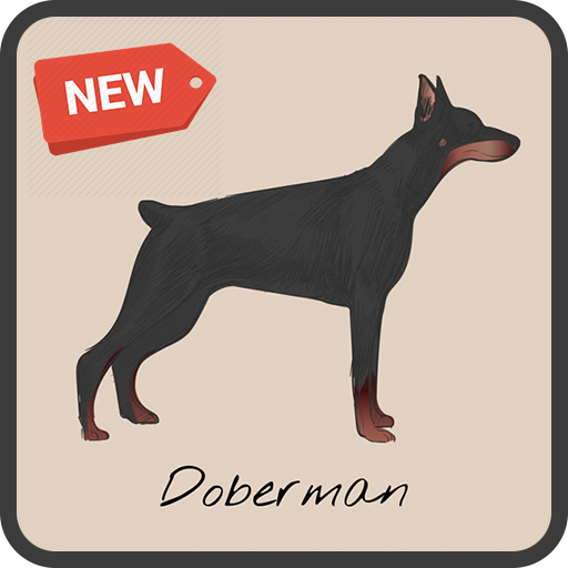 New Doberman Dog Wallpaper icon