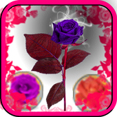 Bubble Shoot 2017 Free icon