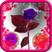 Bubble Shoot 2017 Free