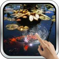Koi Fish in the Pond on 9Apps