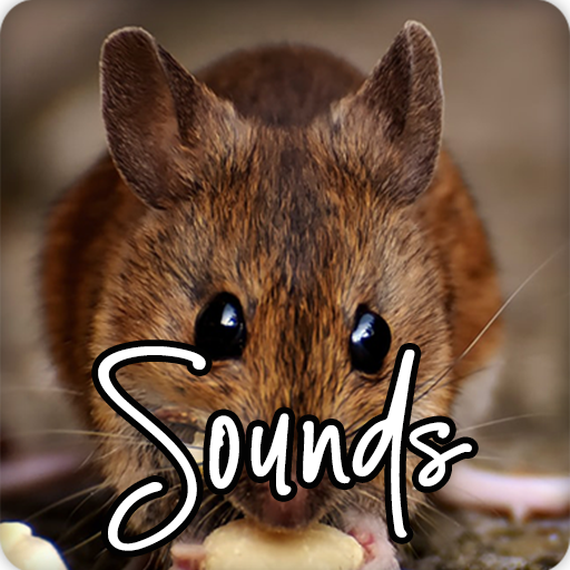 Rat and Mouse Sound Ringtones icon