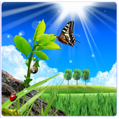 Natural Gallery icon