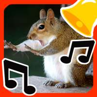 Tonos de Animales - Tonos de Llamada