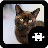 Cat Puzzle icon