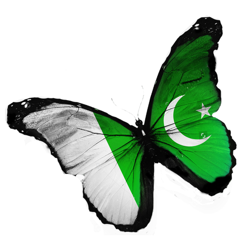 FlagFace - 14 August Pak Day Photo &amp; Frames Editor icon