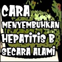 Cara Menyembuhkan Hepatitis B Secara Alami on 9Apps