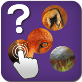 Guess the Picture icon