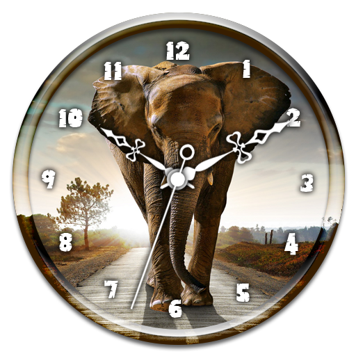 Elephant  Clock Live Wallpaper icon