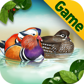 Birds of Korea Game icon