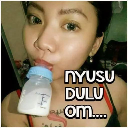 Perang Sticker IG Lucu For WAStickerApps icon