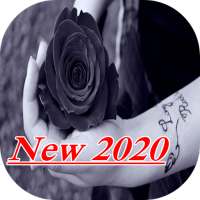 Black Rose Wallpaper 2020 on 9Apps